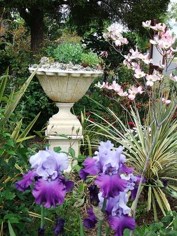 Admurraya House - Darwin Holiday 2