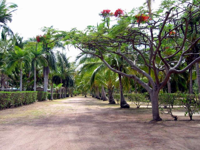 Alva QLD Darwin Holiday