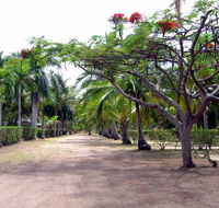 Alva Beach Tourist Park - Darwin Holiday