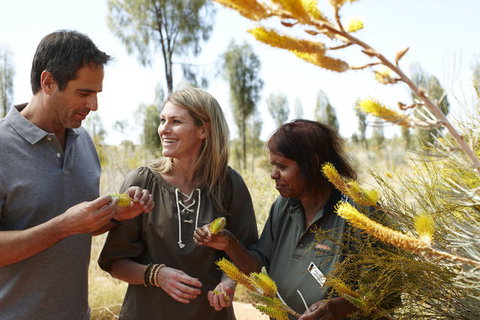 Ayers Rock Campground - Darwin Holiday 2