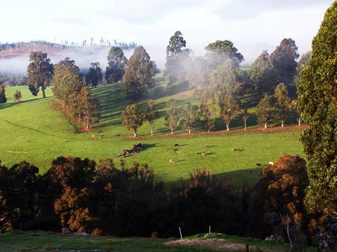 Balingup Vista Chalets - Darwin Holiday 2
