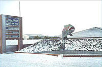 Big Trout Motor Inn - Darwin Holiday 1