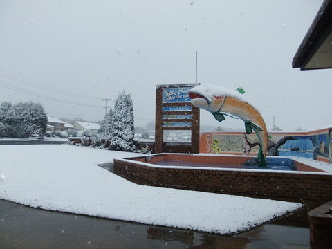 Big Trout Motor Inn - Darwin Holiday 11
