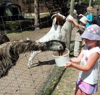 BIG4 Bairnsdale Holiday Park - Darwin Holiday