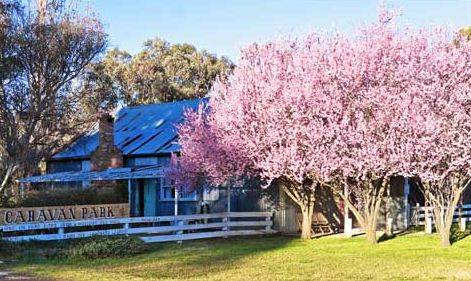 Bushlands Tourist Park - Darwin Holiday 3