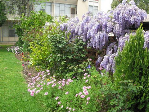 Capri Lodge Apartments - Darwin Holiday 2