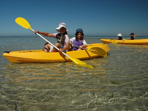 Ceduna Shelly Beach Caravan Park - Darwin Holiday 4
