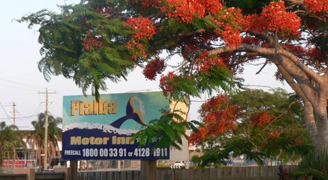 Pialba Motor Inn - Darwin Holiday 8