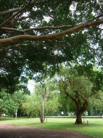 Discovery Holiday Parks - Darwin - Darwin Holiday 10