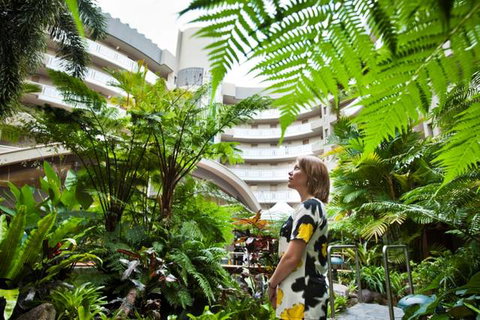 Double Tree - Darwin Holiday 3