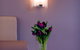 Easystay @ Acland St - thumb 1