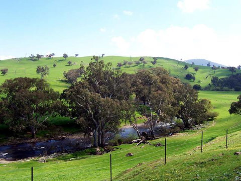 Elm Cottage - Tumut - Darwin Holiday 4