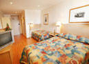 Haven Glebe, Sydney - Darwin Holiday 3