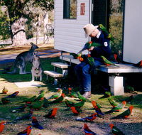 Inland Waters Holiday Parks Burrinjuck - Darwin Holiday