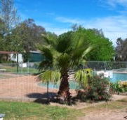 Lake Burrinjuck Leisure Resort - Darwin Holiday