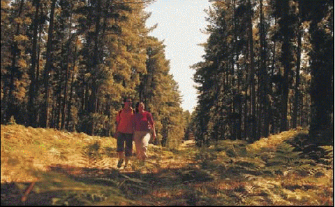 Millicent Hillview Caravan Park - Darwin Holiday 3