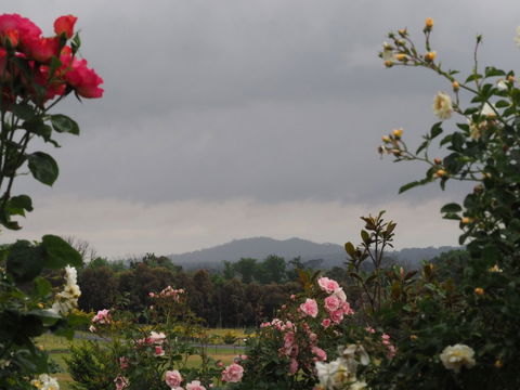 Myamba House Kyneton - Darwin Holiday 4