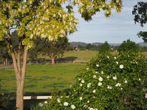 Myamba House Kyneton - Darwin Holiday 5