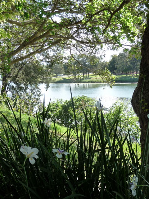 Netherby House - Darwin Holiday 6