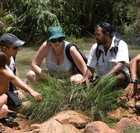 Nitmiluk Tours  Accommodation - Darwin Holiday