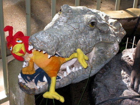 Palmerston Sunset Retreat - Darwin Holiday 1