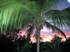 Palmerston Sunset Retreat - Darwin Holiday 4