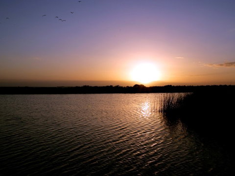 Quest Williamstown North - Darwin Holiday 4