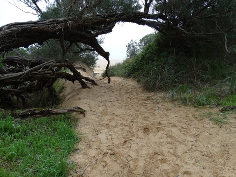 Ripples N Tonic - Darwin Holiday 7