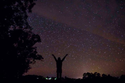Childers Eco-lodge - Darwin Holiday 5