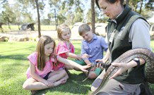 Billabong Camp, Taronga Western Plains Zoo, Dubbo - Darwin Holiday 4