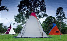 Aranyani Bison Adventure Tourist Park - Darwin Holiday 1