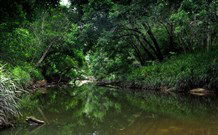 Aranyani Bison Adventure Tourist Park - Darwin Holiday 3