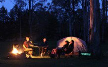 Aranyani Bison Adventure Tourist Park - Darwin Holiday 2