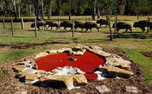 Aranyani Bison Adventure Tourist Park - Darwin Holiday 5