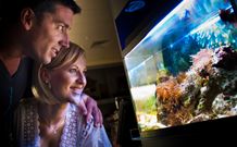 BIG4 Northstar Holiday Resort And Caravan Park - Darwin Holiday 4