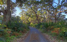 BIG4 South Durras Holiday Park - Darwin Holiday 4