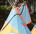 Central Coast Eco Tours - Darwin Holiday