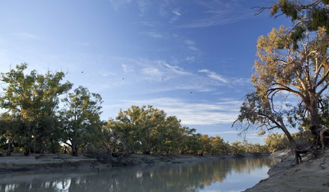 Darling River Campground - Darwin Holiday 0