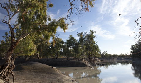 Darling River Campground - Darwin Holiday 1