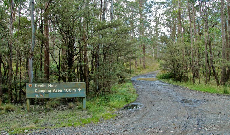 Barrington Tops NSW Darwin Holiday