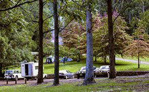 Dingo Tops Campground - Darwin Holiday 1
