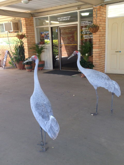Jumbuck Motel Longreach - Darwin Holiday 4
