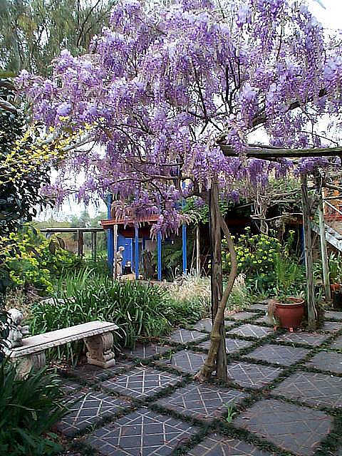 The Retreat At Froog Moore Park - Darwin Holiday 2