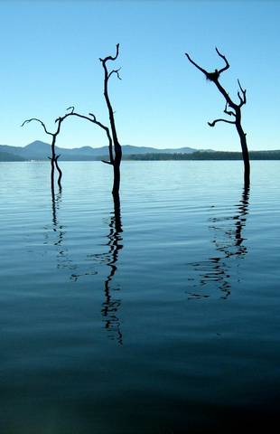 Tinaroo Lake Resort - Holiday Apartments - Darwin Holiday 11