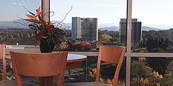 Waldorf Apartment Hotel Canberra - Darwin Holiday 5
