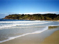 Walkabout Holiday House - Darwin Holiday 4