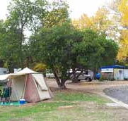 Wedderburn Pioneer Caravan Park - Darwin Holiday