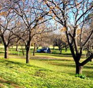 Wellington Caves Caravan Park - Darwin Holiday