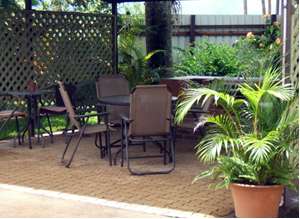 Whitsunday Palms - Darwin Holiday 1