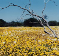 Wooleen Station - Darwin Holiday